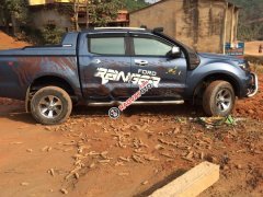 Bán ô tô Ford Ranger Xl đời 2015, màu xanh lam, nhập khẩu 