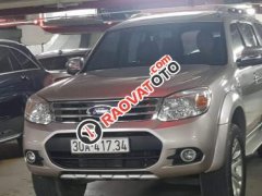 Bán xe Ford Everest Limited 2014, màu bạc 