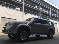 Bán Ford Everest Limited đời 2013, màu vàng, xe chính hãng Ford