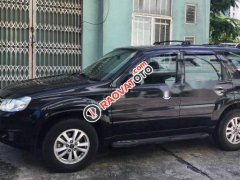 Bán Ford Escape XLS năm sản xuất 2010, máy 2.3 lợi xăng cực kì, tầm 6L/100km