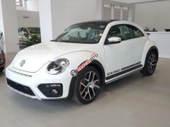 Bán Volkswagen New Beetle năm sản xuất 2018, màu trắng, xe nhập