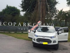 Bán Ford EcoSport Titanium 1.5 AT đời 2014, màu trắng, giá tốt