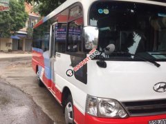 Cần bán Hyundai County Limousine sản xuất năm 2015, màu trắng