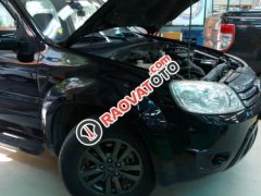Bán Ford Escape 2.3 AT năm sản xuất 2009, màu đen số tự động