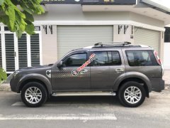 Bán ô tô Ford Everest AT 2014, màu xám (ghi)