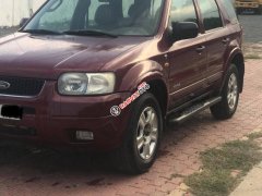 Bán Ford Escape 2002 XLT 3.0 V6 2 cầu điện tử