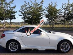 Cần bán gấp Mercedes SLK 280 đời 2007, màu trắng, nhập khẩu nguyên chiếc xe gia đình