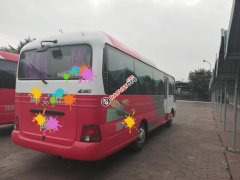 Cần bán xe Hyundai County Limousine đời 2015, hai màu