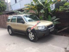 Cần bán xe Ford Escape 3.0 đời 2003, màu vàng số tự động