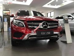 Bán Mercedes GLC 250 2019, màu đỏ, hoàn toàn mới