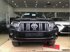 Bán Toyota Prado VX đời 2019, màu đen, nhập khẩu chính hãng Bán Toyota Prado VX đời 2019, màu đen, nhập khẩu chính hãng