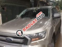 Chính chủ bán gấp Ford Ranger AT sản xuất năm 2017, nhập khẩu nguyên chiếc