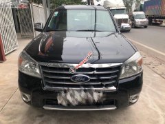 Bán Ford Everest Limited sản xuất năm 2010, màu đen  