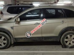 Bán Chevrolet Captiva Maxx năm 2010, màu vàng cát