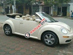 Bán xe Volkswagen New Beetle 2.5AT đời 2006, màu trắng, nhập khẩu chính chủ, giá chỉ 485 triệu