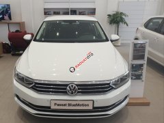 Bán Volkswagen Passat Blue Motion - trắng Bán Volkswagen Passat Blue Motion - trắng