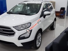 Bán xe Ford EcoSport Trend AT năm sản xuất 2019, màu trắng, giao ngay, nhiều khuyến mãi hấp dẫn