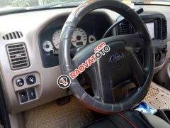 Bán Ford Escape sản xuất 2004, nhập khẩu, xe cam kết không đâm đụng không ngập nước Bán Ford Escape sản xuất 2004, nhập khẩu, xe cam kết không đâm đụng không ngập nước