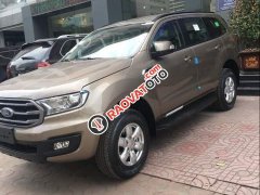 Bán xe Ford Everest năm sản xuất 2019, màu vàng, nhập khẩu Thái Lan Bán xe Ford Everest năm sản xuất 2019, màu vàng, nhập khẩu Thái Lan