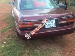Cần bán gấp Toyota Camry năm 1990, màu đỏ, giá tốt Cần bán gấp Toyota Camry năm 1990, màu đỏ, giá tốt