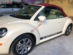 Cần bán Volkswagen New Beetle 2.5 AT đời 2007, màu kem (be), nhập khẩu giá cạnh tranh