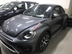 Bán Volkswagen New Beetle cao cấp đời 2019, màu xám (ghi), xe nhập