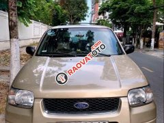 Cần bán lại xe Ford Escape 3.0 V6 năm sản xuất 2002, màu vàng