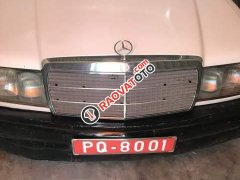 Cần bán Mercedes 190E đời 2010, màu trắng, nhập khẩu nguyên chiếc