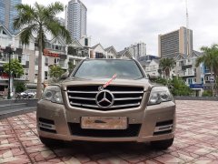 Bán Mercedes 300 sản xuất năm 2010, màu vàng