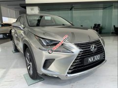 Bán xe Lexus NX 300 sản xuất 2019, màu vàng, nhập khẩu, sẵn xe giao ngay Bán xe Lexus NX 300 sản xuất 2019, màu vàng, nhập khẩu, sẵn xe giao ngay