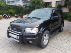 Bán xe Ford Escape năm 2003, màu đen, nhập khẩu nguyên chiếc, giá tốt Bán xe Ford Escape năm 2003, màu đen, nhập khẩu nguyên chiếc, giá tốt