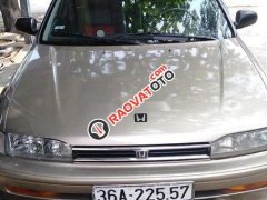 Cần bán gấp Honda Accord đời 1999, xe nhập, giá chỉ 80 triệu