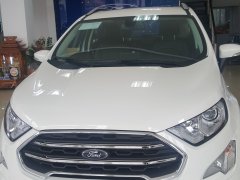Ecosport giảm giá kịch sàn, ưu đãi tặng nhiều phụ kiện Ecosport giảm giá kịch sàn, ưu đãi tặng nhiều phụ kiện