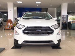 Cần bán Ford EcoSport 1.5 Titanium đời 2019, màu trắng, giá chỉ 595 triệu Cần bán Ford EcoSport 1.5 Titanium đời 2019, màu trắng, giá chỉ 595 triệu