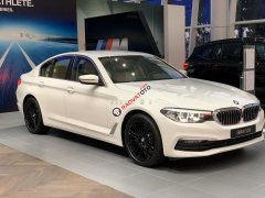 Bán BMW 520i đời 2019, màu trắng, nhập khẩu