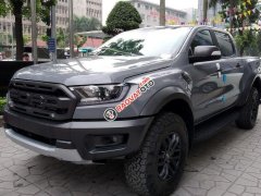 Bán xe Ford Ranger Raptor năm 2020, màu xám, xe nhập Bán xe Ford Ranger Raptor năm 2020, màu xám, xe nhập