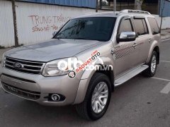 Cần bán xe Ford Everest 4x4MT sản xuất năm 2014 chính chủ, giá chỉ 460 triệu