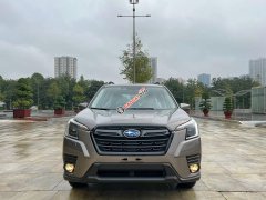Giá tốt nhất miền Bắc