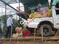 Bán tải Ford Ranger 2004 2 cầu