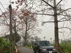 Chính chủ bán xe Vitara 2005