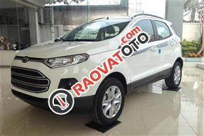 Bán xe Ford Ecosport tại Hải Phòng