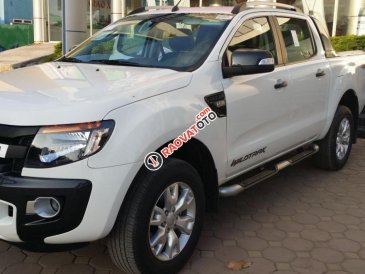 Cần bán Ford Ranger Wildtrak 3.2L AT đời 2017, màu trắng, nhập khẩu, giá chỉ 900 triệu