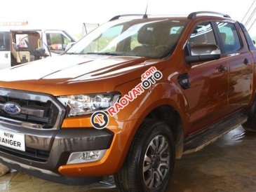 Bán ô tô Ford Ranger Wildtrak 2.2L AT đời 2017, nhập khẩu, giá chỉ 825 triệu