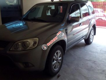 Cần bán xe Ford Escape XLS 2013, màu xám (ghi)