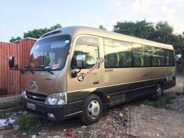 Cần bán lại xe Hyundai County Limousine năm 2015, hai màu  