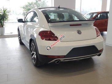 Bán Volkswagen New Beetle năm sản xuất 2018, màu trắng, xe nhập