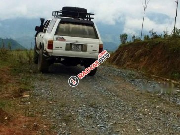 Cần bán xe Hyundai Galloper năm 1995, màu trắng, nhập khẩu, giá tốt