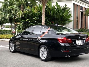 Bán BMW 520i 2013, đời 2014, nhập khẩu nguyên chiếc