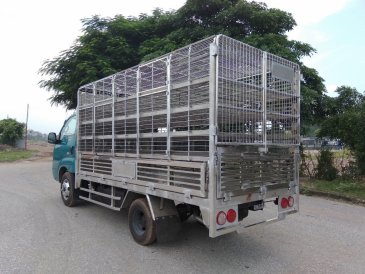Bác nào chuyên chở gia cầm thì không thể không yêu em