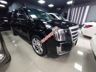 Xe nhập